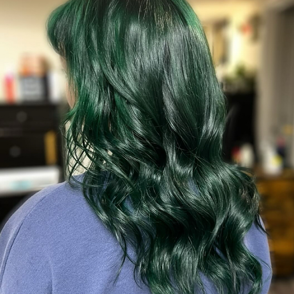 Fresh All Over Color at Lex Beautty in Bridgewater, MA