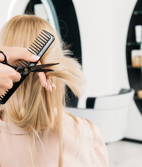 Haircut + Style