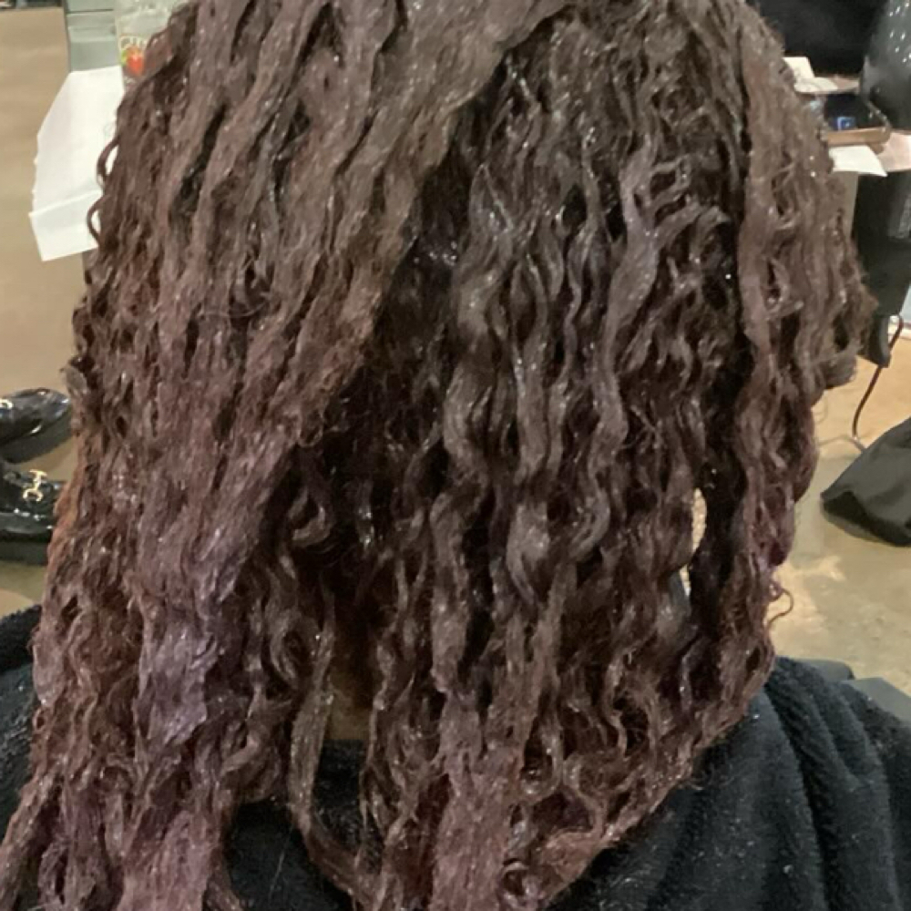 Sr Color at HDE Hair Studio in Virginia Beach, VA