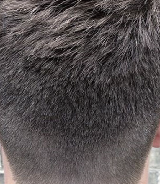 Mens Cut