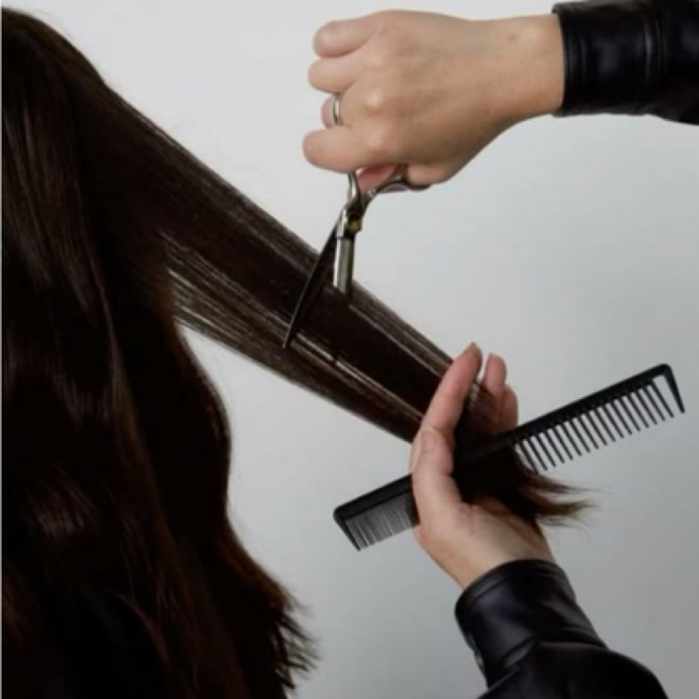 Jr Stylist Haircut at Winters Haven Beauty & Soul in Center Valley, PA
