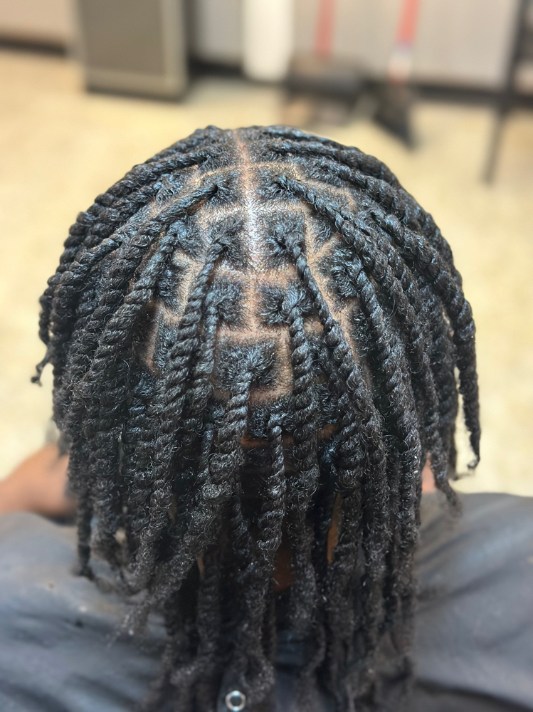 Two Strand Twist (neck Length)