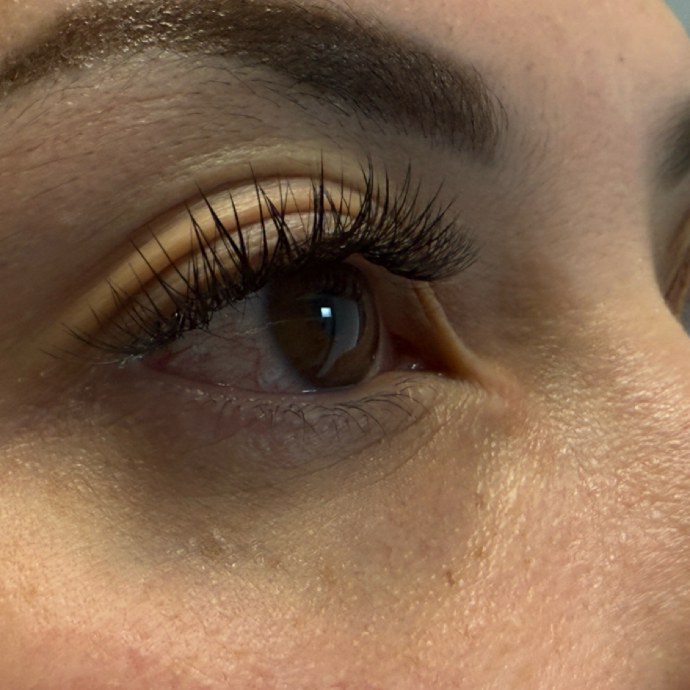 February LED Hybird New Set