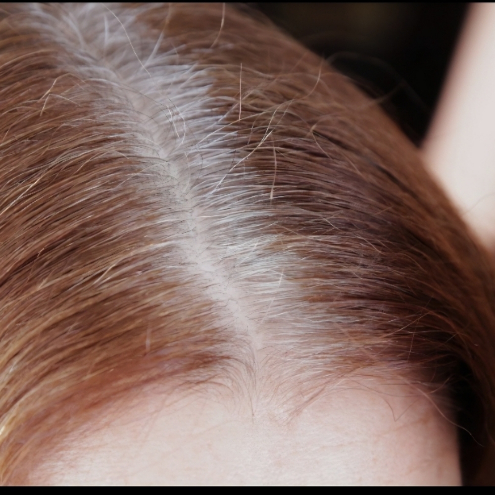 Retouch and Cut at 903 Salon, Sherman, TX in Sherman, TX