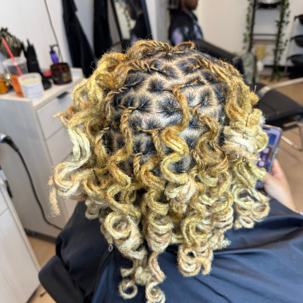 Luxury Loc Styles at The Luna Look in Surprise, AZ