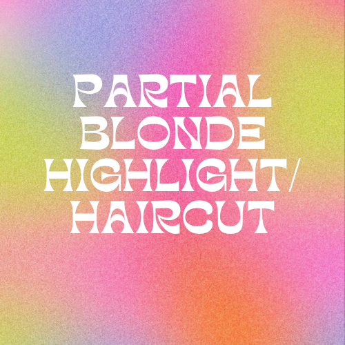 Partial Highlight/Haircut