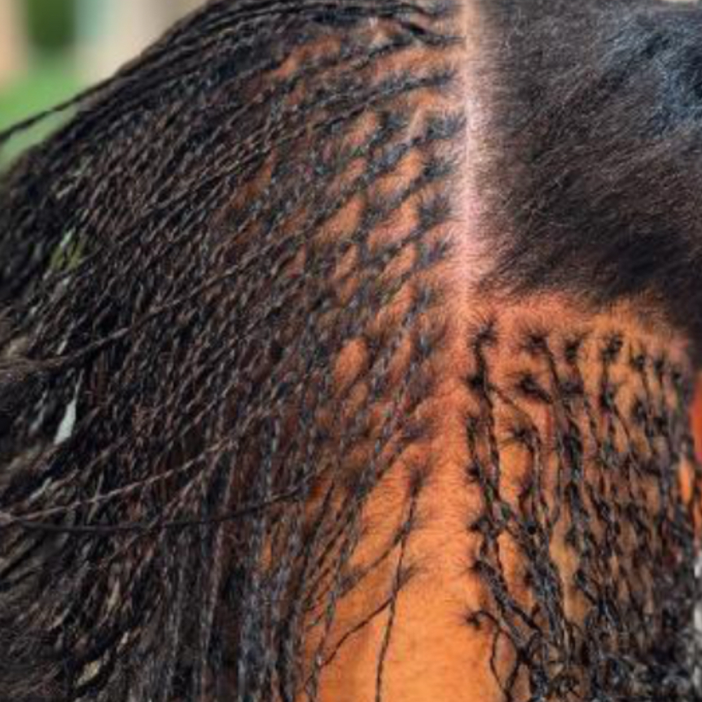 Micro Locs On Natural Hair ONLY! at Loc’d -N in Fountain, CO
