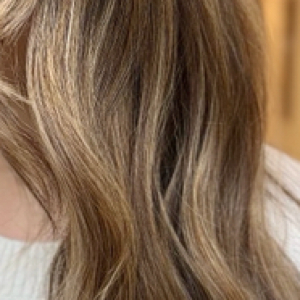 Partial Balayage at Styled by Whitney Marie in Folsom, CA