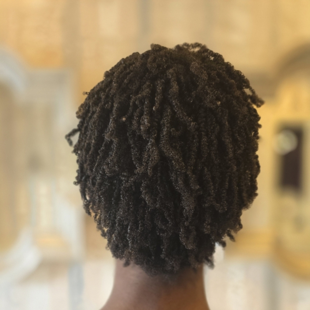 Reverse Styling at Passionate Creations Hair Salon LLC in Cary, NC