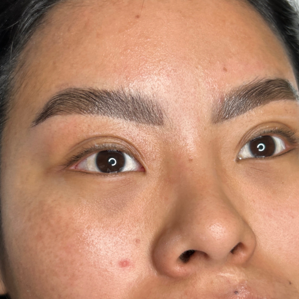 Brow Wax + Tint at Mindful Beauty in Chico, CA