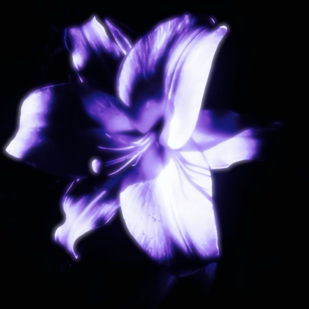 Full Face Wax at The Glow Coven in Madison, AL