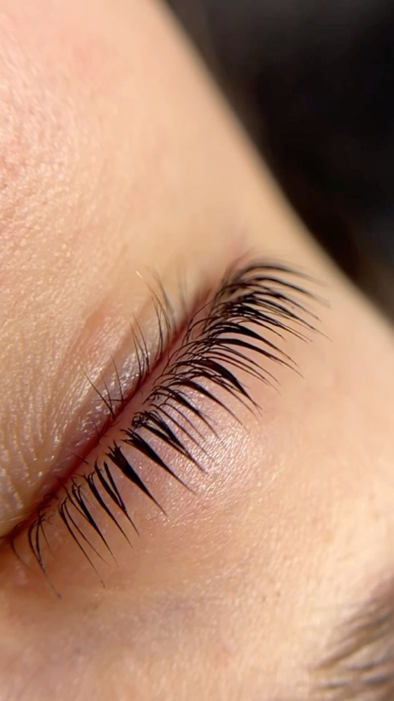 Lash Tint at GDN in Woodland Hills, CA