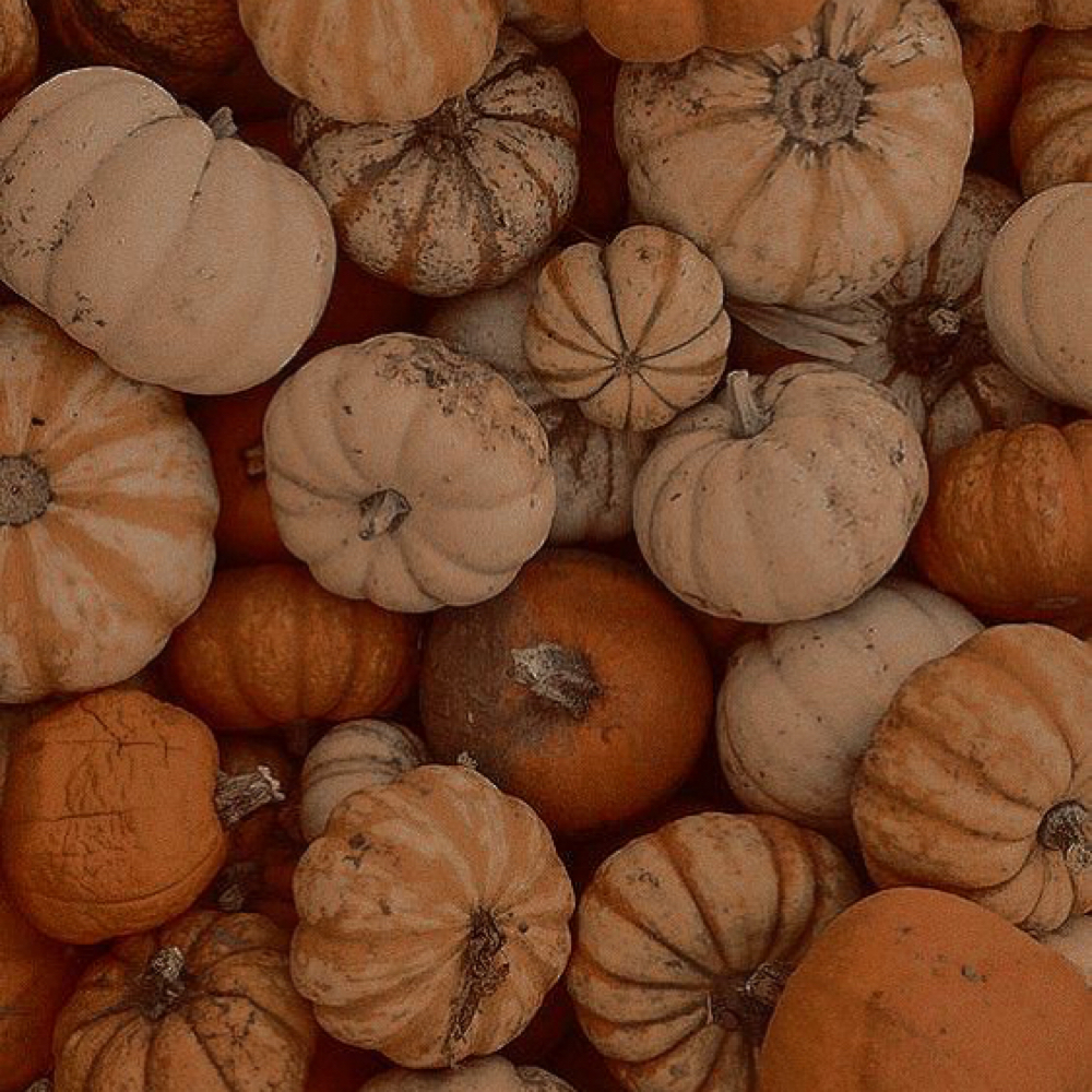 Fall Special - Pumpkin Pie facial at brooklynsbeautybar in Beaufort, SC