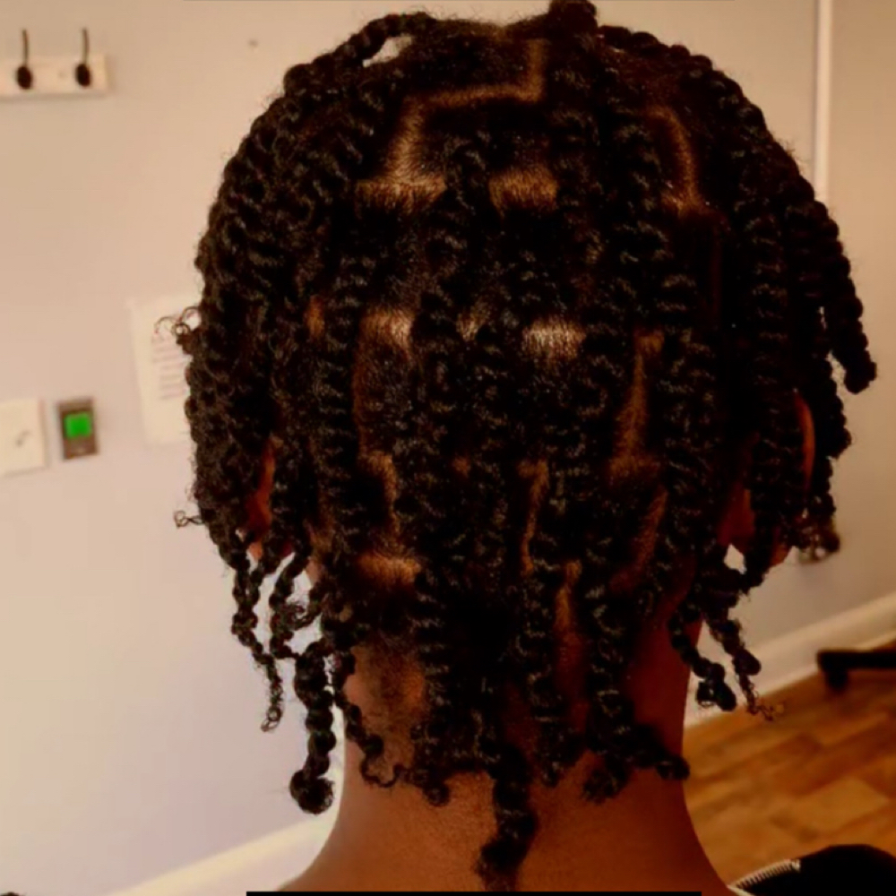 2 Strand Twist (Above the shoulders at The Oasis Natural Hair Salon in Gibsonville, NC