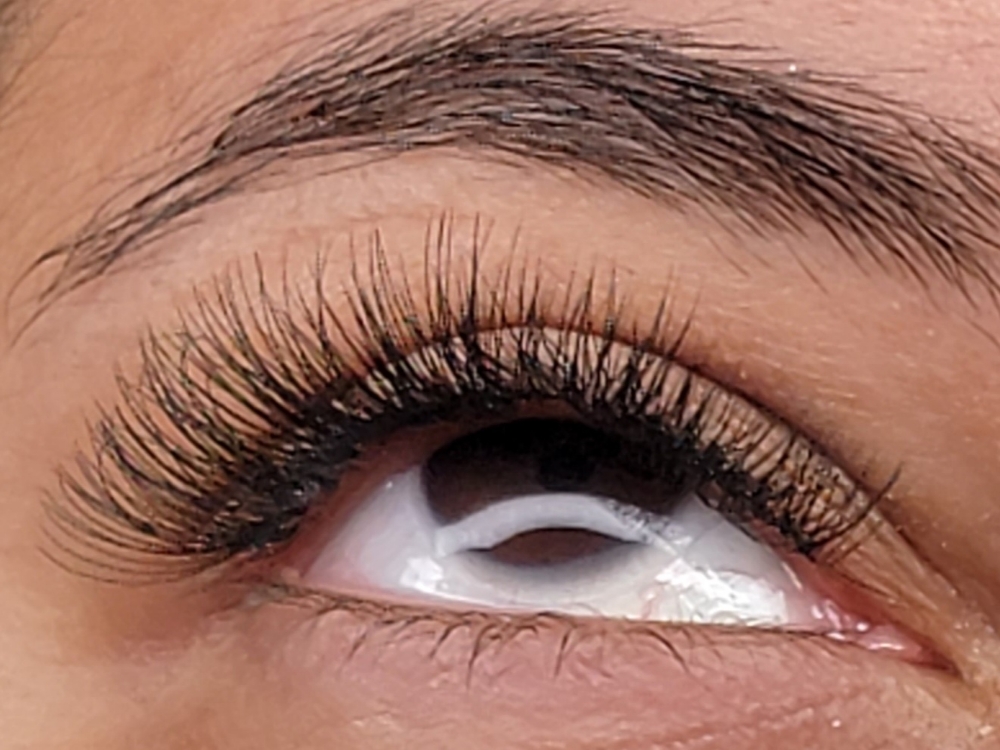 Express Classic Individual Mink