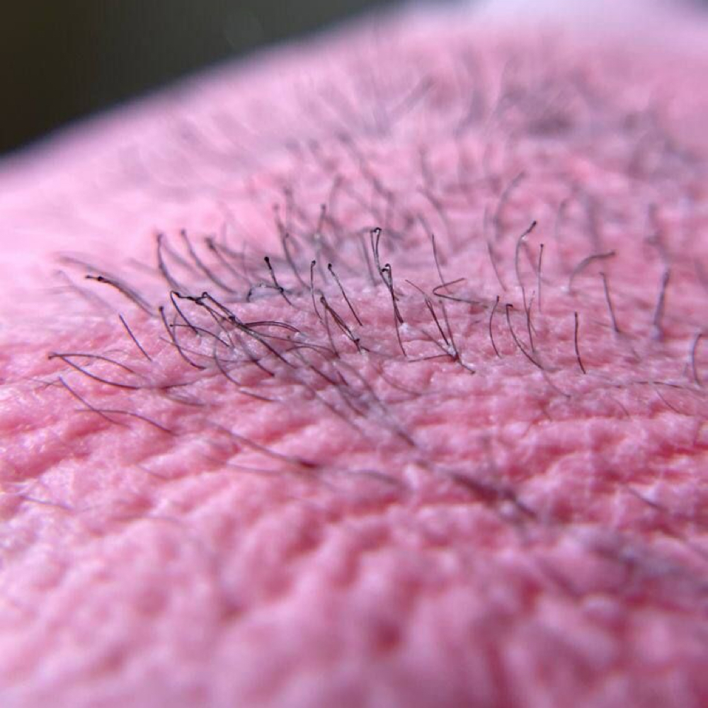 February Brazilian Wax Special