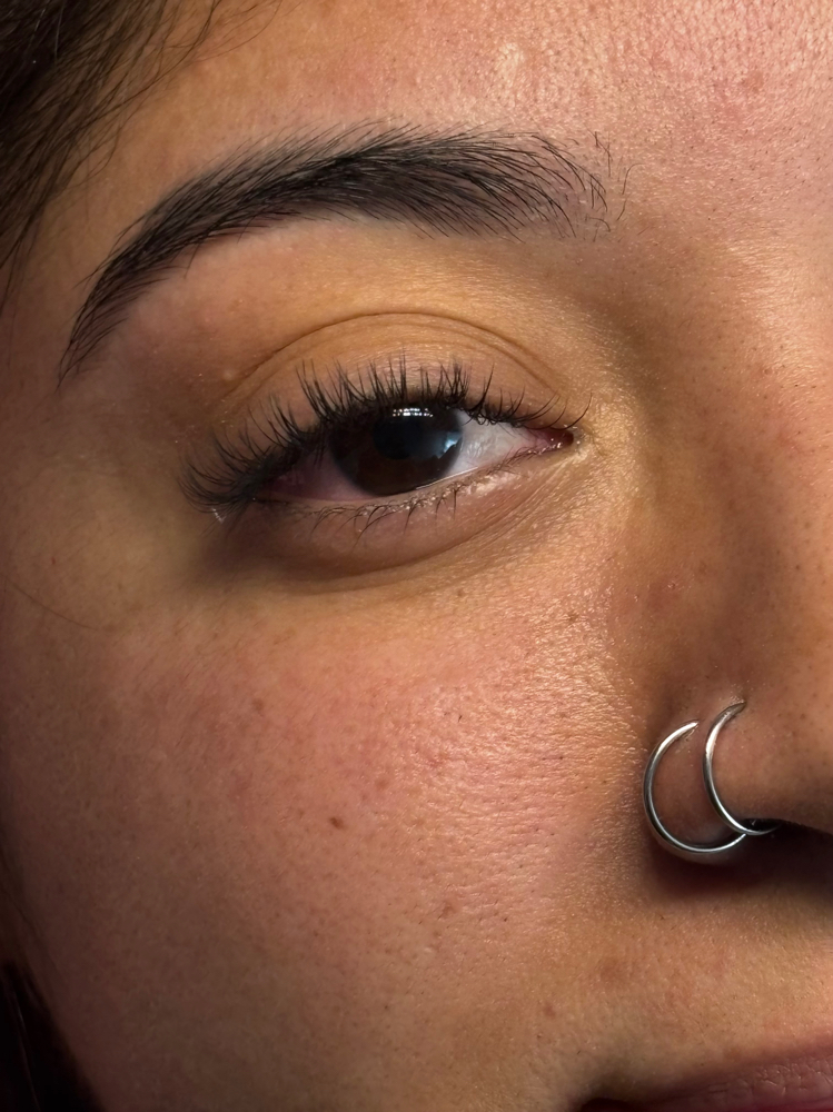 Classic Lash