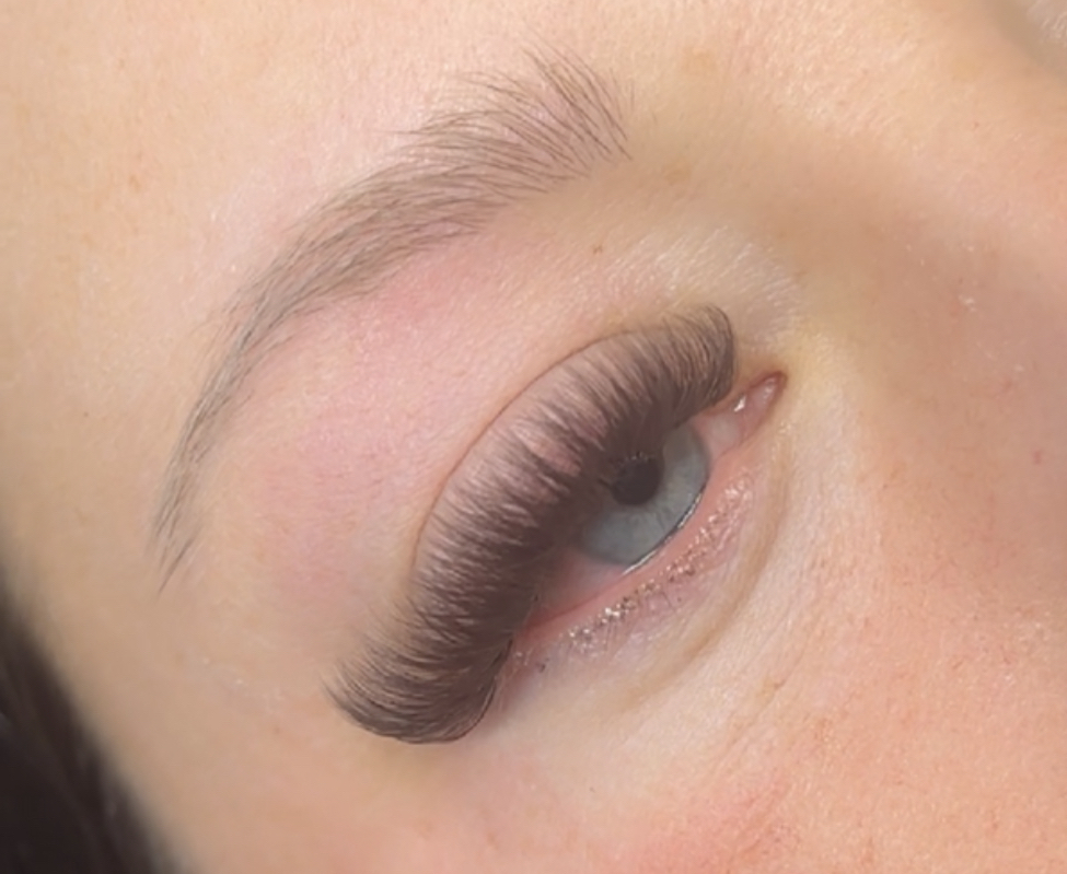 Brown Lash Add On