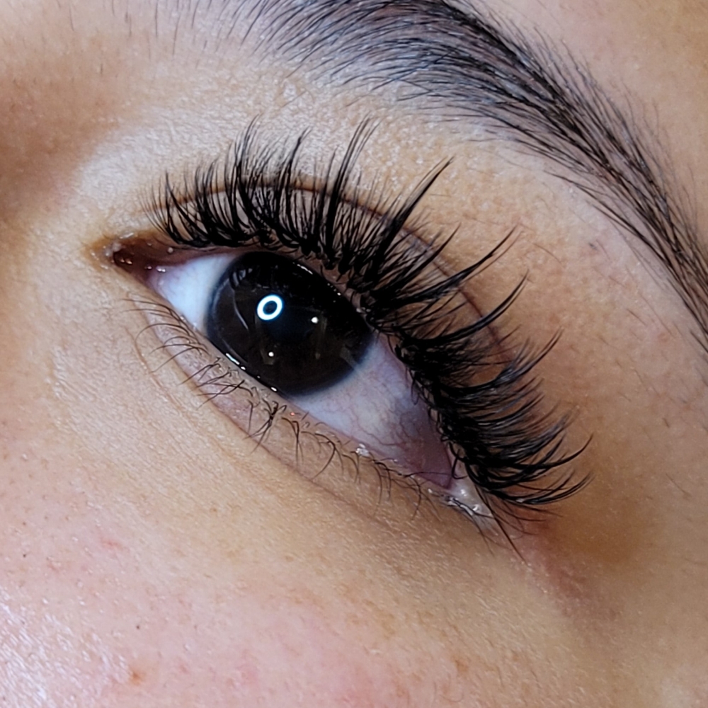 Lash FIll
