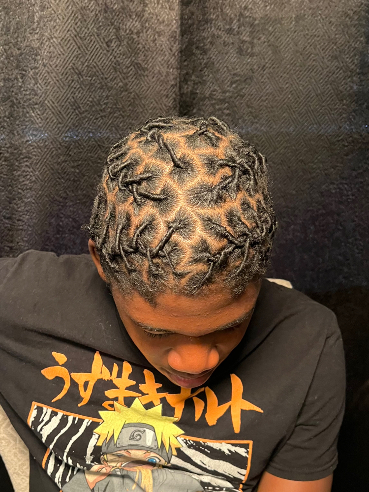 Starter Locs (Comb Coils)