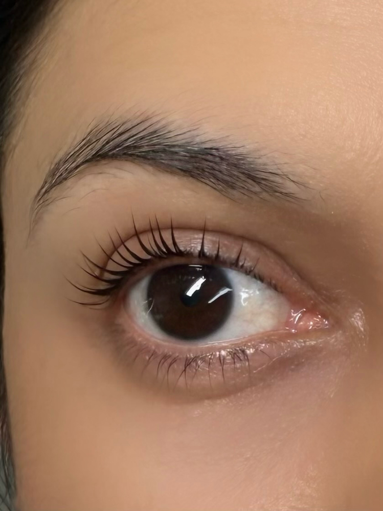 Korean Lash Lift & Tint