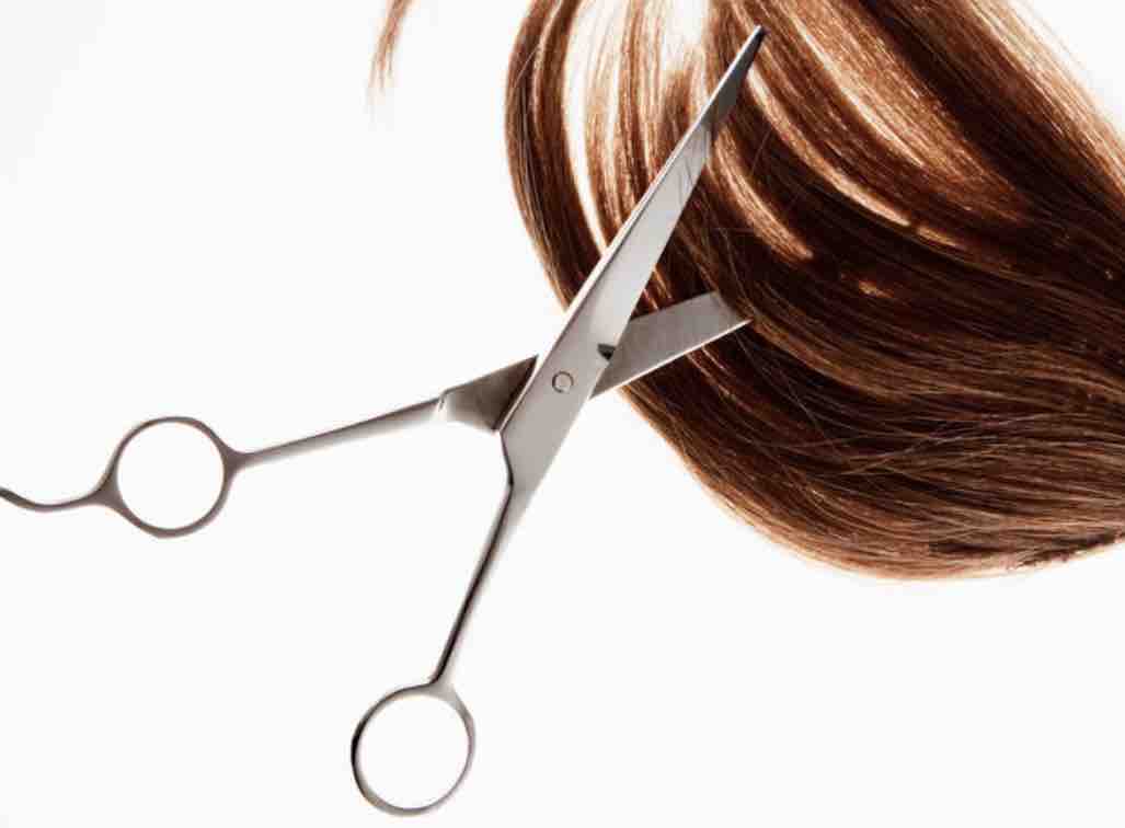 Cut Only