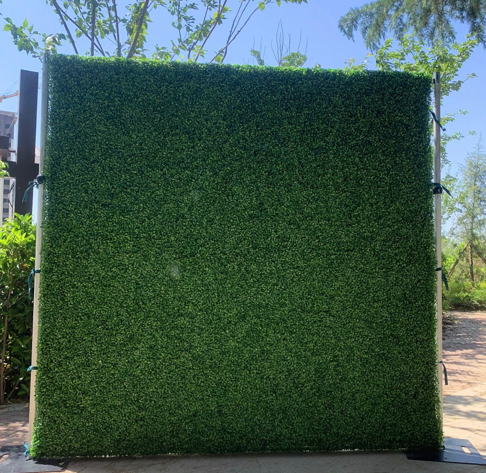 Atlantis Hedge Wall Rental