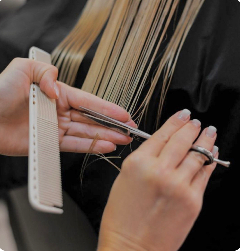 Haircuts and Styles!