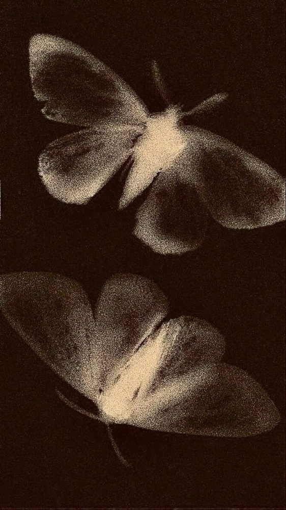 Blowout / Roller Set