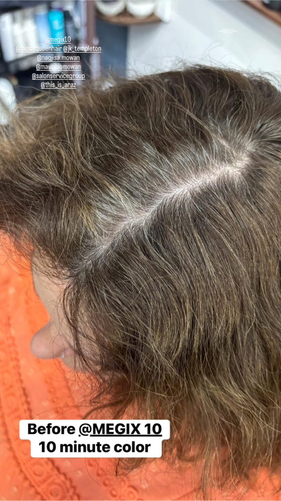 Color Retouch at Hair Haus inside Earth Angel Spa & Salon in Cottleville, MO