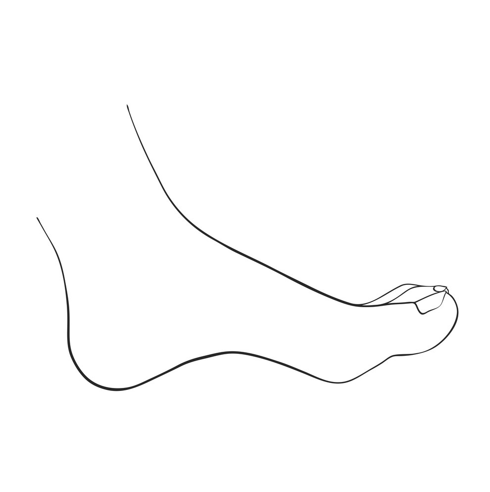 Toes