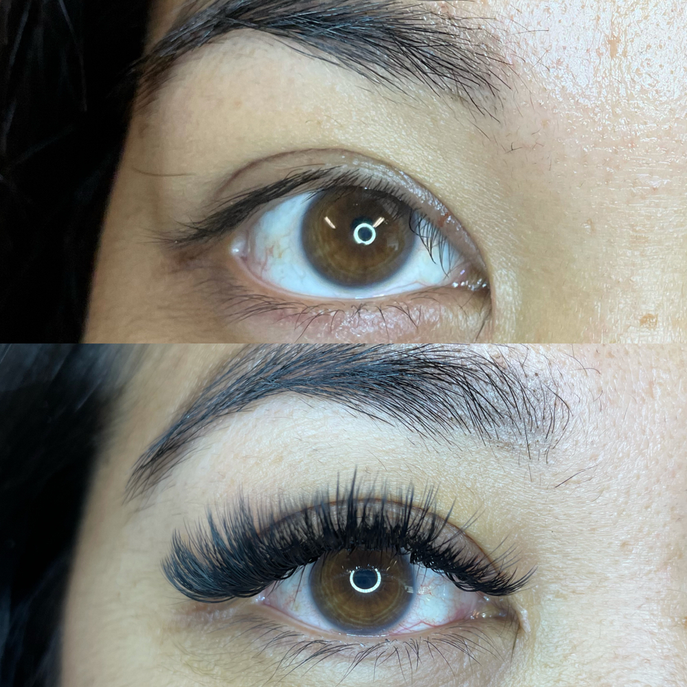 Volume Lash Extention