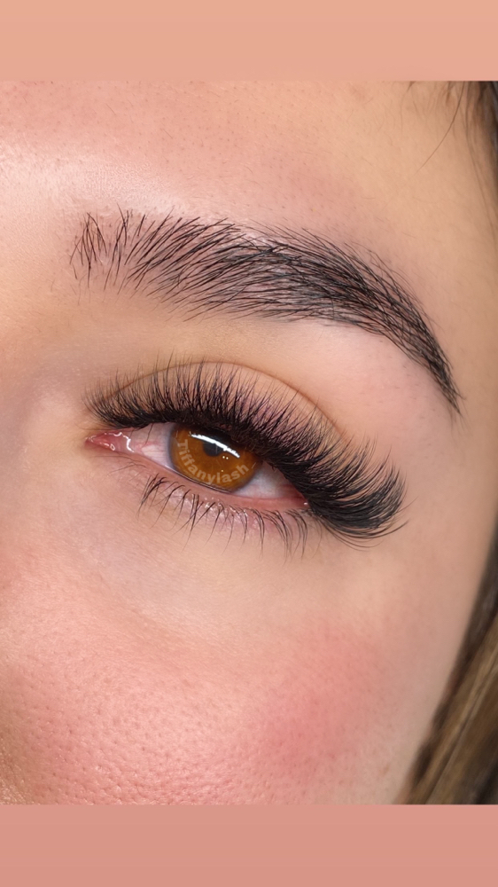 Volume Lashes