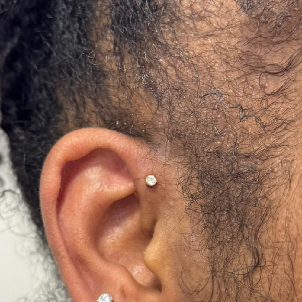 Foward Helix at PiercingSiren in Waukegan, IL