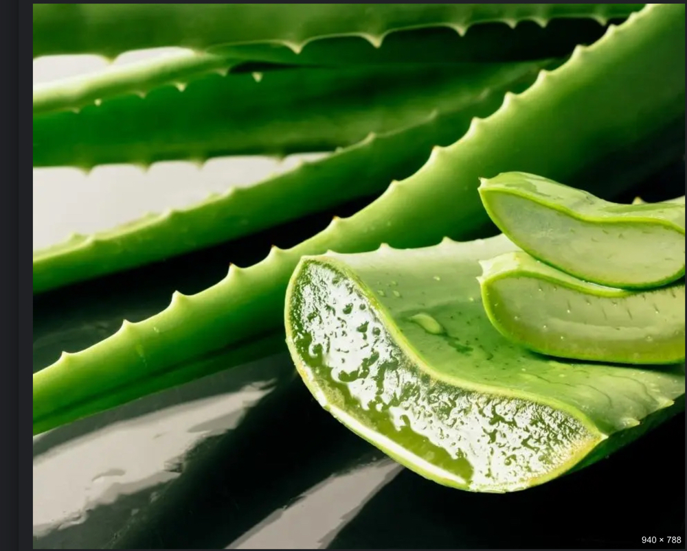 Aloe Vera Detox loc bath package