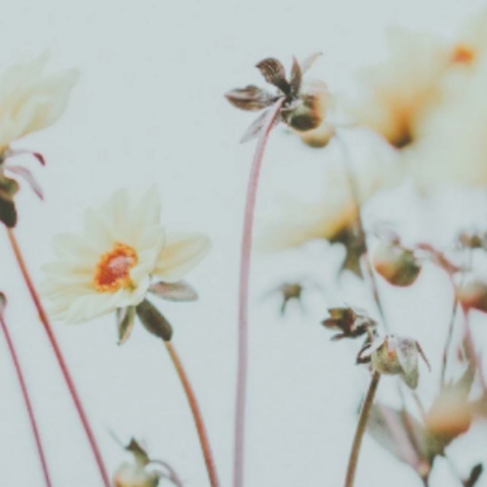 Perm at Oxford&Mane in Oxford, NC