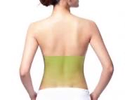 Lower Back