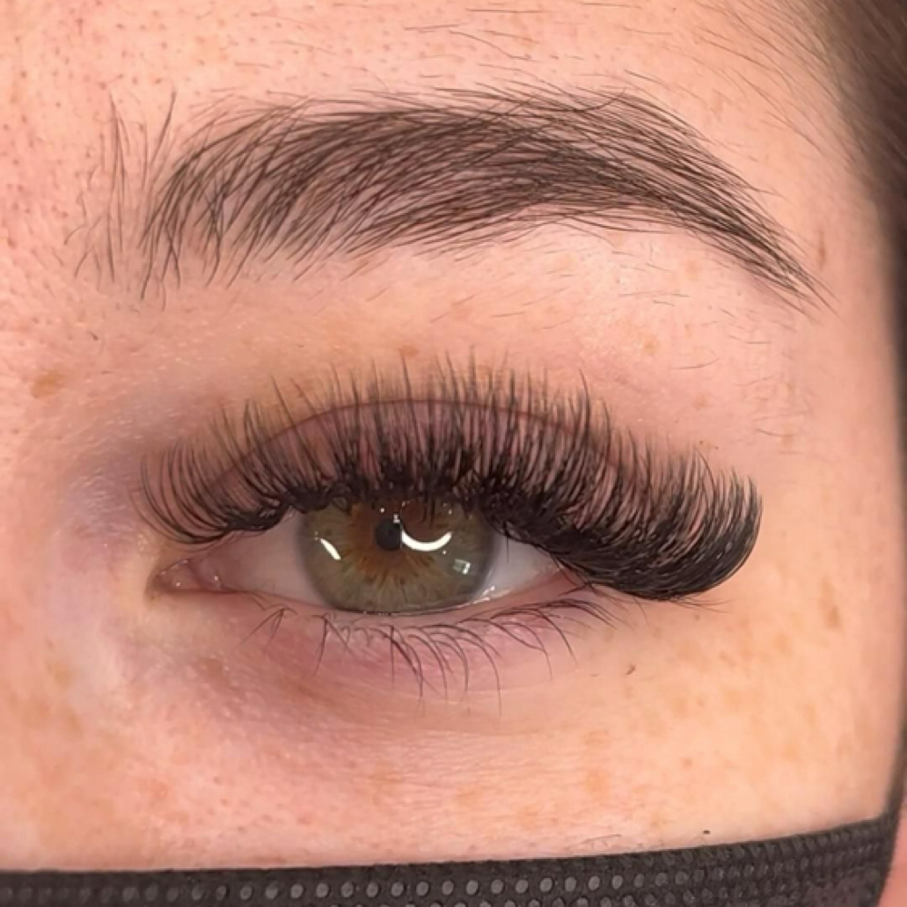 Eyelash Extension Fill at Alchemy Aesthetics in Tampa, FL