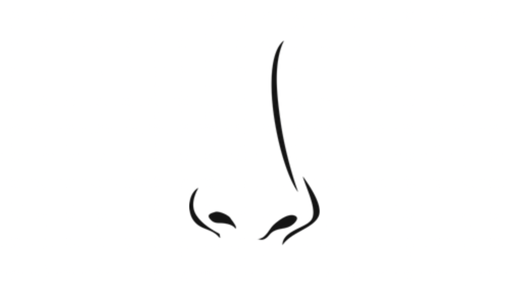 Nose