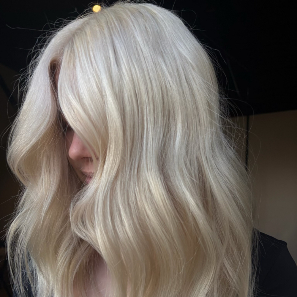 Platinum Blonde Touch-Up at Haven & Hue Hair Salon in Reno, NV