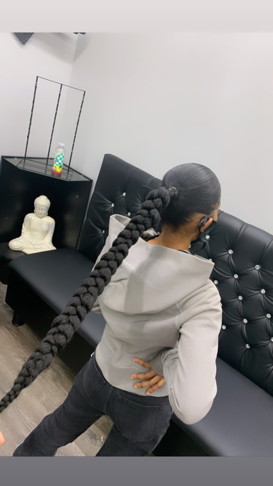 Sleek Braided Ponytail ( W.o Hair)