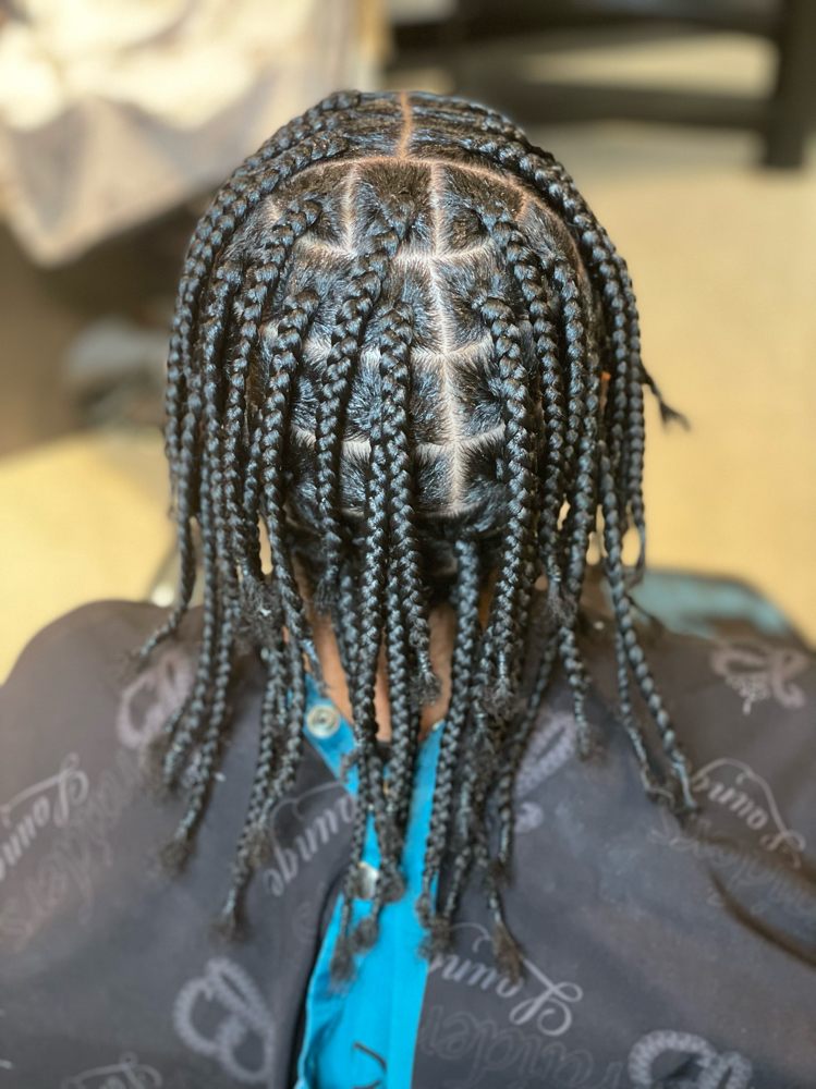 Individual Braids (Medium)