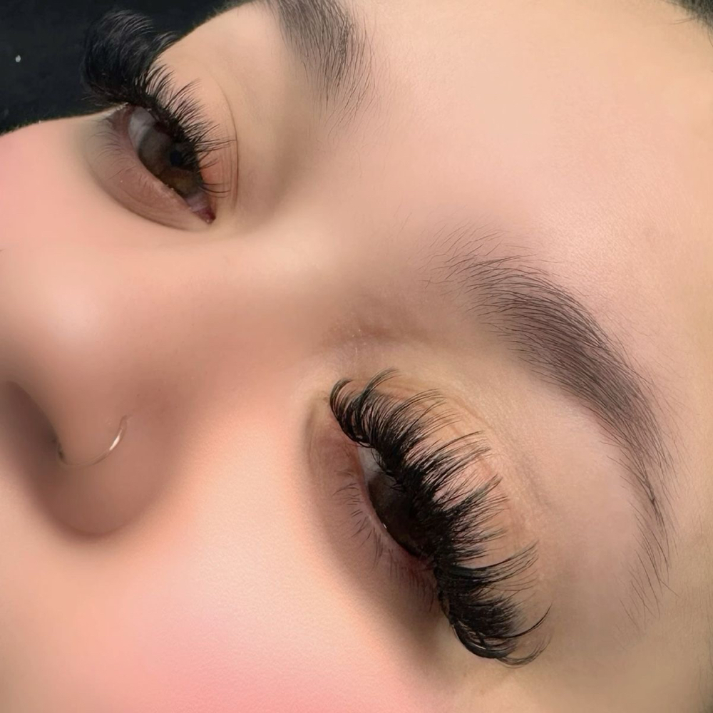 Volume Lashes
