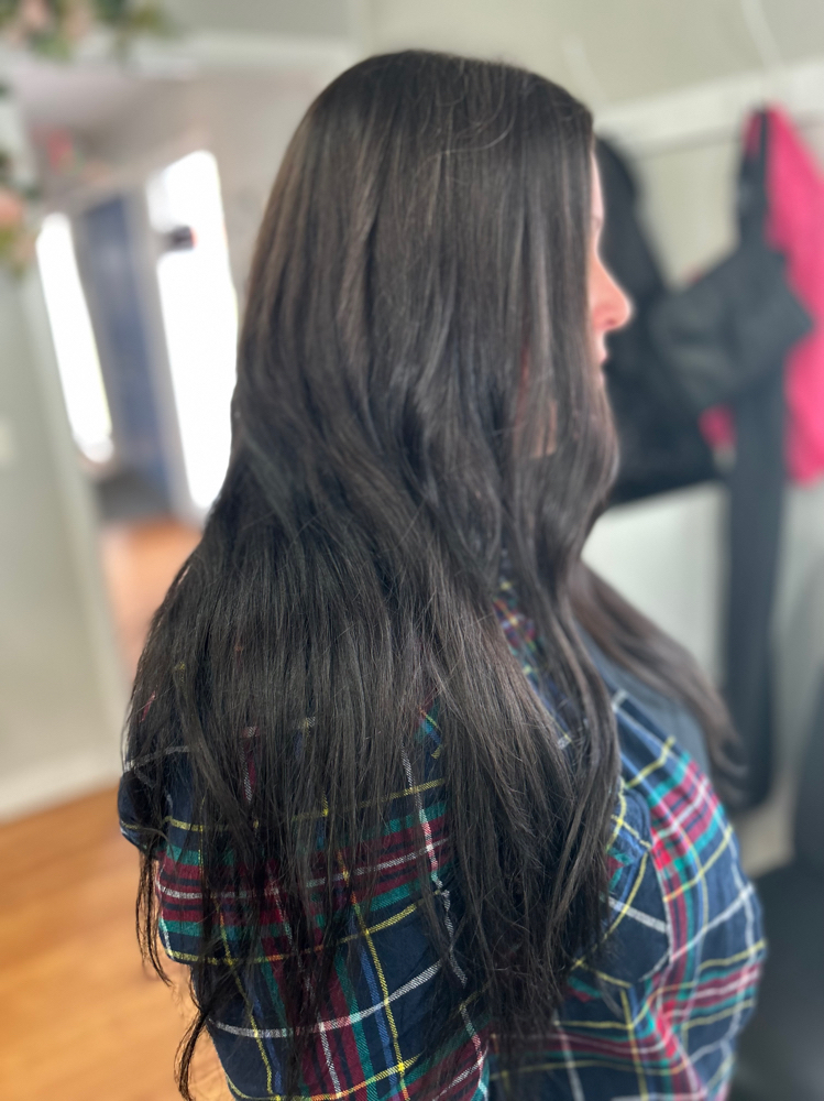 Root Touch Up