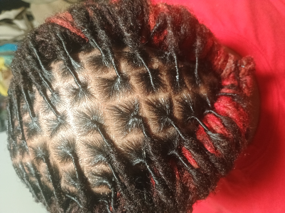 Adult Locs