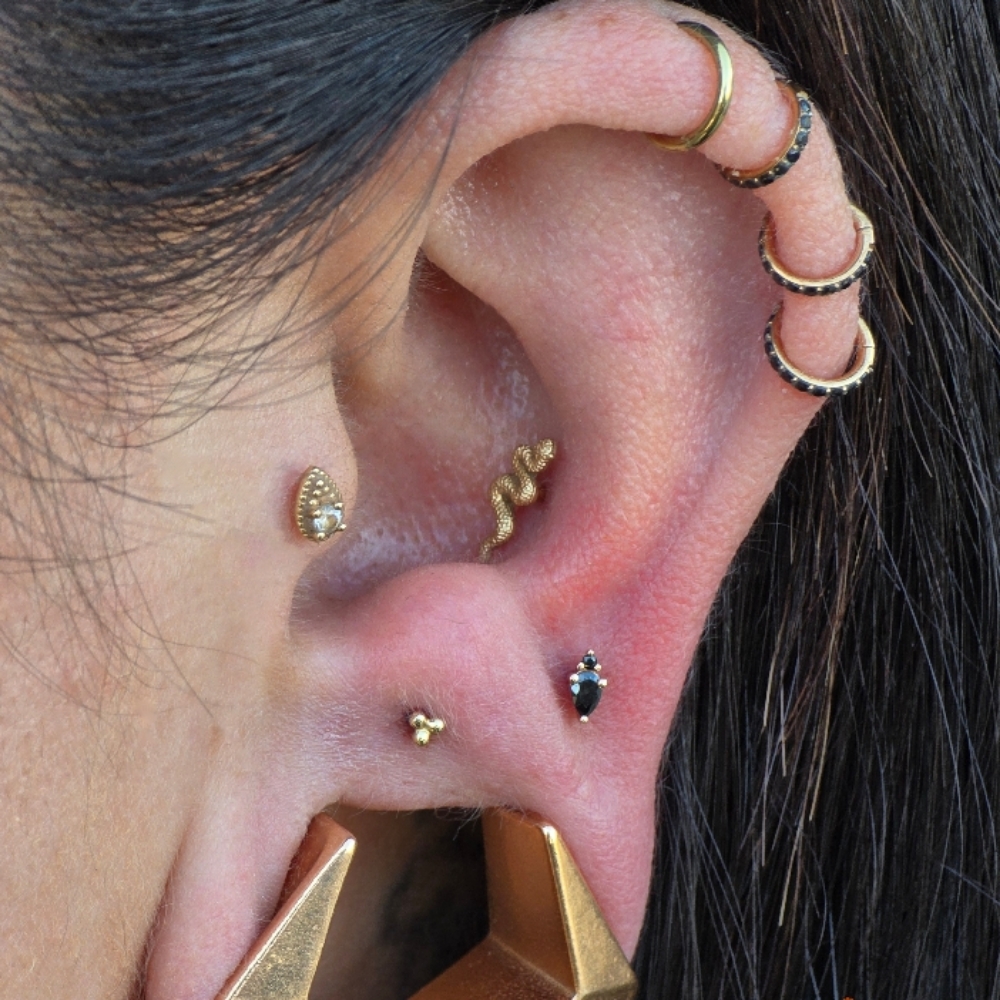 Tragus (Single) at Ethereal Adornments Pierced By Cambria in Murrieta, CA