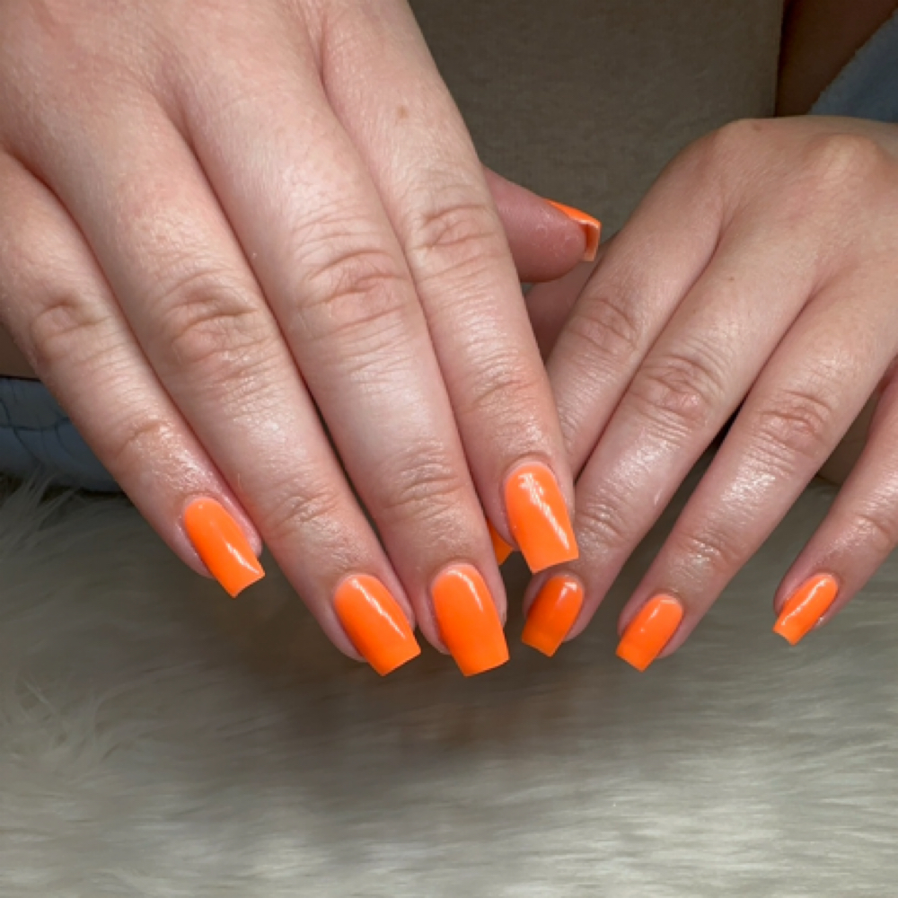 Dip Powder w/ Tip Extensions