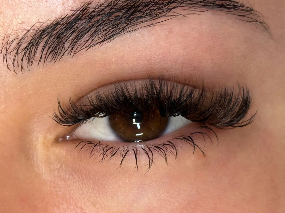Bottom Lash