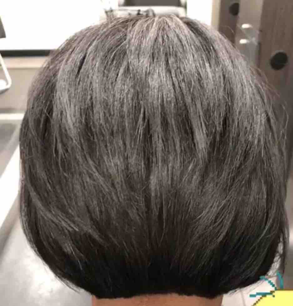 Shampoo, Maintence Trim And Style