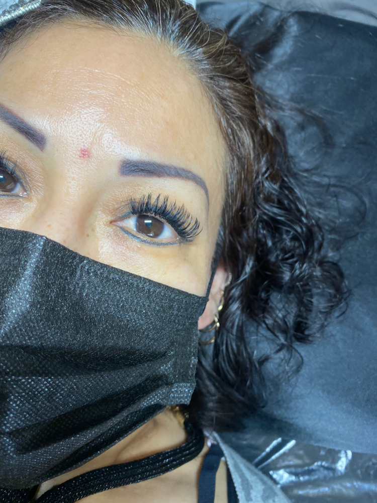 Wet Lash Full Set